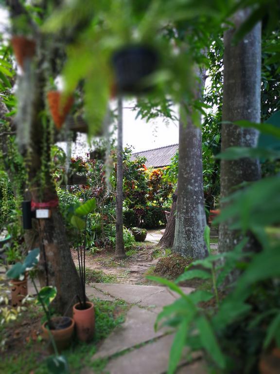 Baan Bua pensión Chiang Rai Exterior foto