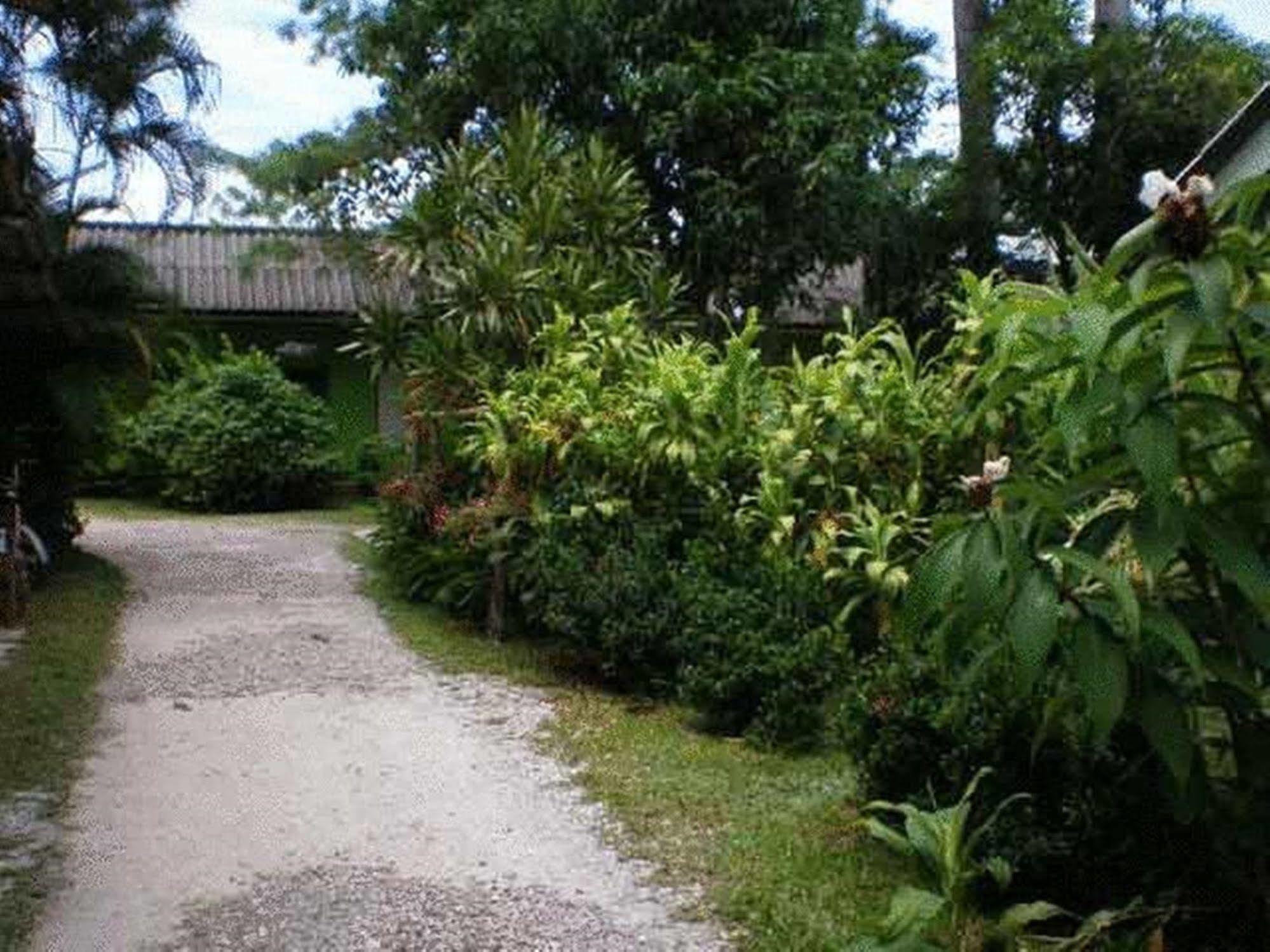 Baan Bua pensión Chiang Rai Exterior foto